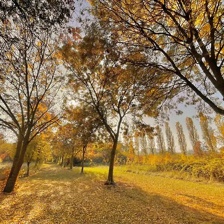 Hotel Terme Delle Nazioni 4*