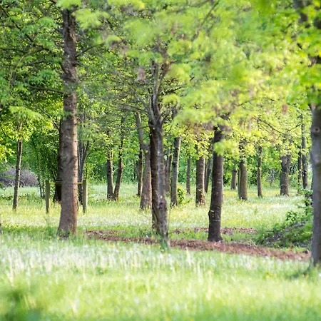 Terme Delle Nazioni Hotel Montegrotto Terme